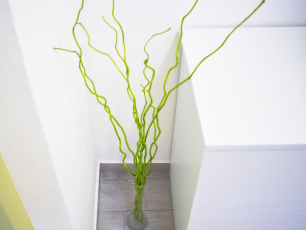 Shower Shows Marsala Bagian luar foto